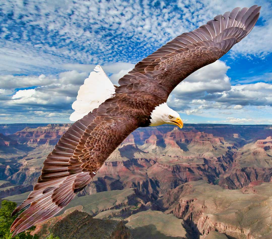 Power Marketing Products Banner