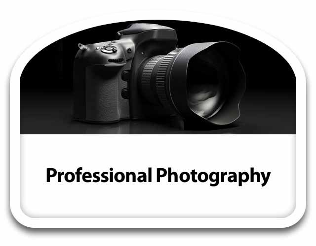 Professional Photography